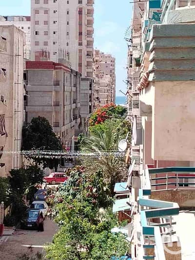 شقة 2 غرفة نوم للبيع في النخيل، الإسكندرية - 1000293570. jpg