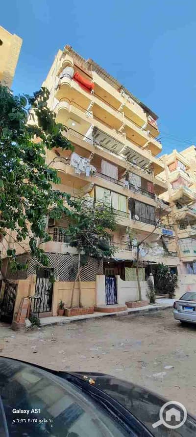شقة 2 غرفة نوم للبيع في النخيل، الإسكندرية - 1000280692. jpg
