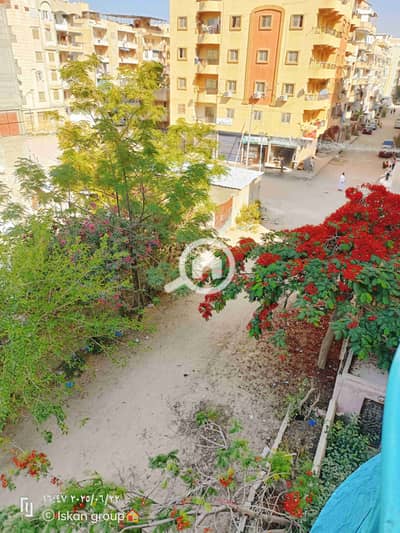 فلیٹ 2 غرفة نوم للبيع في النخيل، الإسكندرية - 1000300706. jpg