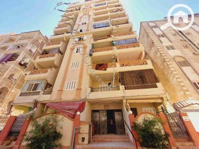 فلیٹ 2 غرفة نوم للبيع في النخيل، الإسكندرية - 1000308026. jpg