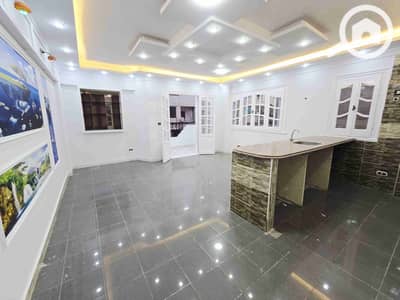 فلیٹ 2 غرفة نوم للبيع في النخيل، الإسكندرية - 1000309327. jpg
