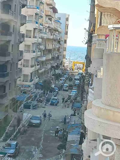 فلیٹ 3 غرف نوم للبيع في النخيل، الإسكندرية - 1000320235. jpg