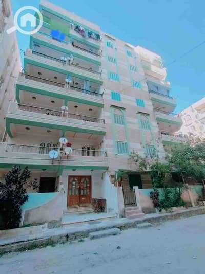 فلیٹ 2 غرفة نوم للبيع في النخيل، الإسكندرية - 1000282397. jpg