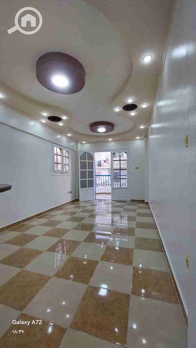 فلیٹ 2 غرفة نوم للبيع في النخيل، الإسكندرية - 1000291513. jpg