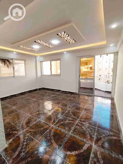 شقة 2 غرفة نوم للبيع في النخيل، الإسكندرية - 1000294268. jpg