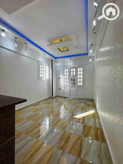 شقة 2 غرفة نوم للبيع في النخيل، الإسكندرية - 1000283000. jpg