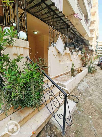 فلیٹ 2 غرفة نوم للبيع في النخيل، الإسكندرية - 1000335147. jpg