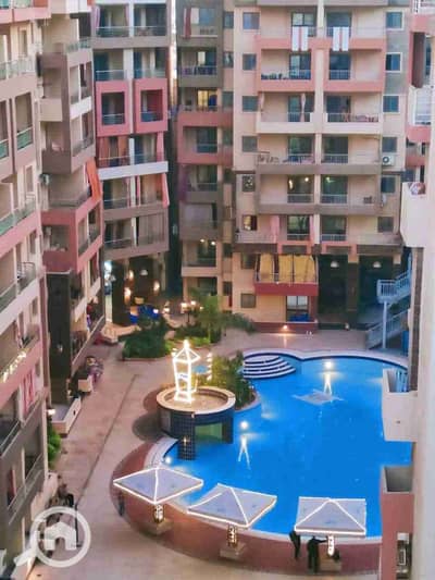 فلیٹ 2 غرفة نوم للبيع في النخيل، الإسكندرية - 1000304444. jpg