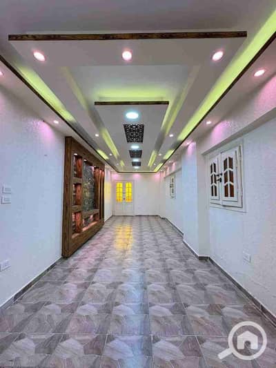 فلیٹ 2 غرفة نوم للبيع في النخيل، الإسكندرية - 1000328918. jpg