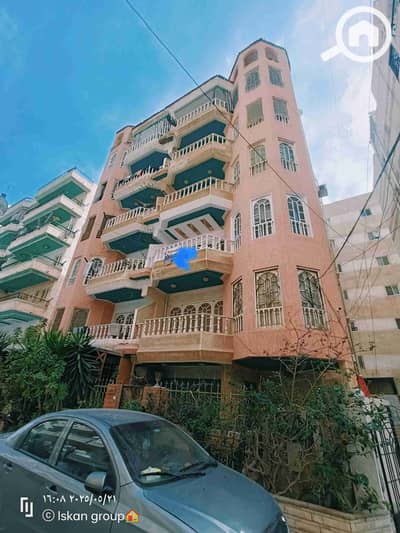 فلیٹ 3 غرف نوم للبيع في النخيل، الإسكندرية - 1000287050. jpg