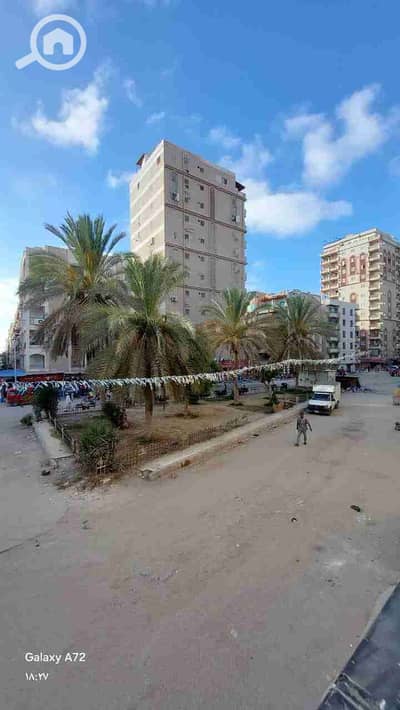 شقة 2 غرفة نوم للبيع في النخيل، الإسكندرية - 1000308262. jpg
