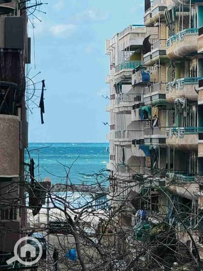 شقة 2 غرفة نوم للبيع في النخيل، الإسكندرية - 1000283875. jpg