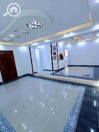 فلیٹ 2 غرفة نوم للبيع في النخيل، الإسكندرية - 1000302485. jpg