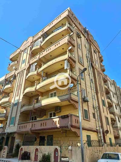 شقة 2 غرفة نوم للبيع في النخيل، الإسكندرية - 1000297204. jpg