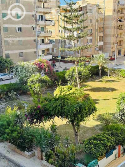 فلیٹ 2 غرفة نوم للبيع في النخيل، الإسكندرية - 1000314225. jpg