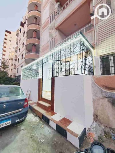فلیٹ 3 غرف نوم للبيع في النخيل، الإسكندرية - 1000319122. jpg