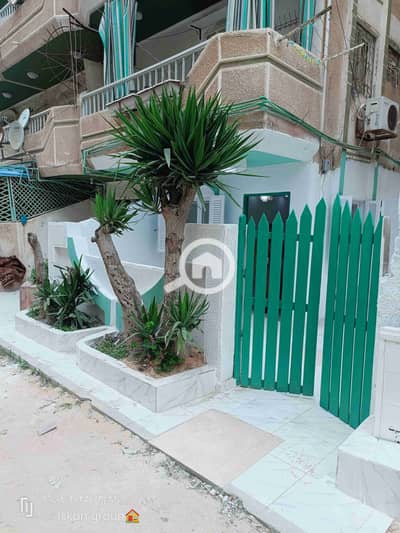 فلیٹ 2 غرفة نوم للبيع في النخيل، الإسكندرية - 1000253323. jpg