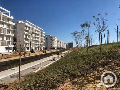 شقة 2 غرفة نوم للبيع في الساحل الشمالي، مطروح - IMG-20250806-WA0131. jpg