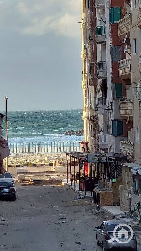 شقة للبيع فى العجمي شاطئ النخيل بجوار الشارع الرئيسي سابع عمارة للبحر