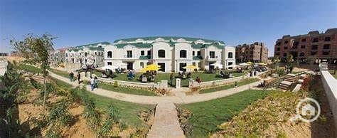8 OIP (8) - Copy. jpg