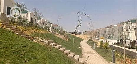9 OIP (9) - Copy. jpg