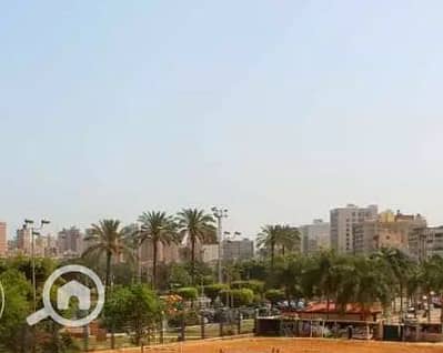 3 Bedroom Apartment for Rent in Sporting, Alexandria - 0. png