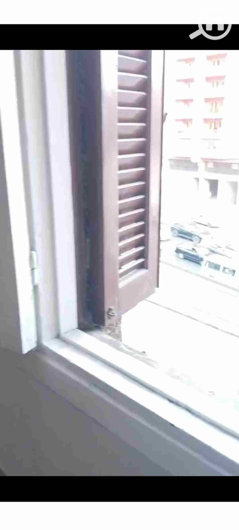 4 1000287617. jpg