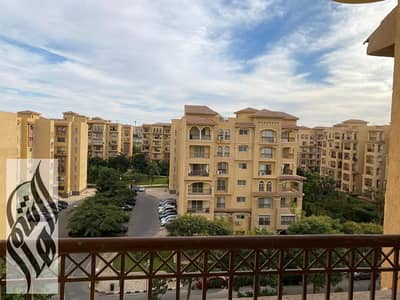 3 Bedroom Apartment for Rent in Madinaty, Cairo - IMG-20250805-WA0242. jpg