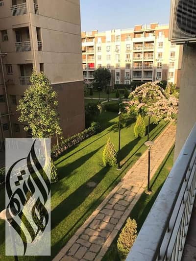 2 Bedroom Flat for Rent in Madinaty, Cairo - IMG-20250809-WA0090. jpg