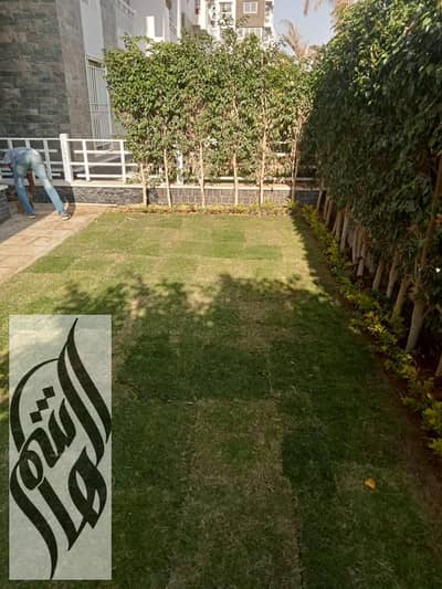 2 Bedroom Flat for Rent in Madinaty, Cairo - IMG-20250805-WA0001. jpg
