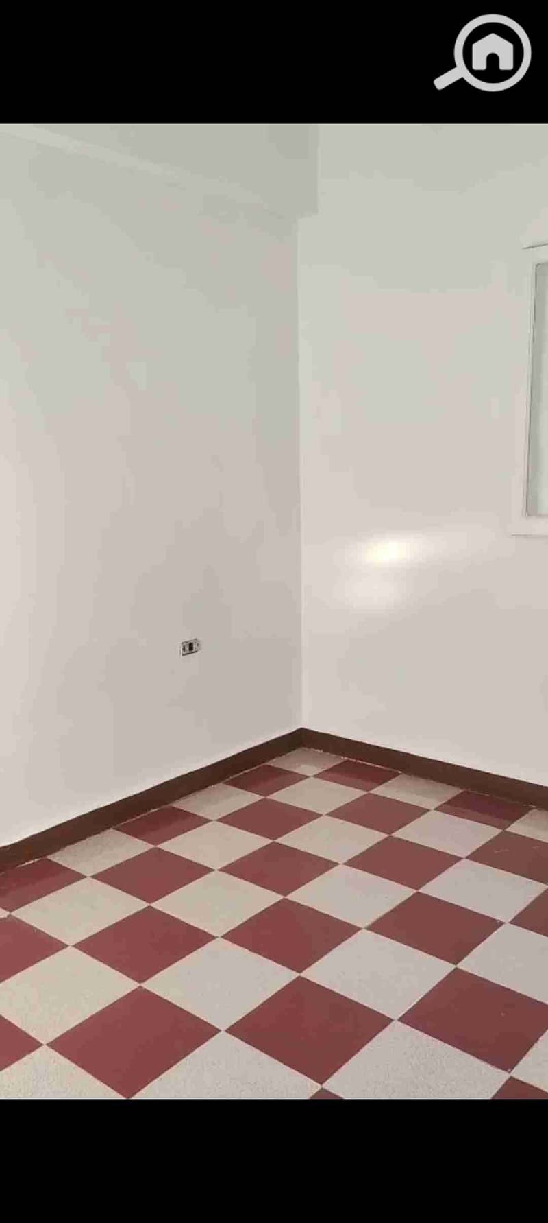2 1000031258. jpg