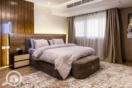 دوبلكس 3 غرف نوم للايجار في الدقى، الجيزة - 1000058744. jpg