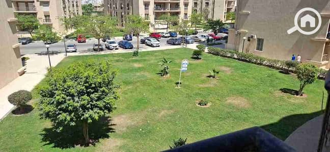 3 Bedroom Apartment for Rent in New Cairo, Cairo - 1000258891. jpg