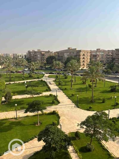 3 Bedroom Flat for Rent in New Cairo, Cairo - 1000259003. jpg