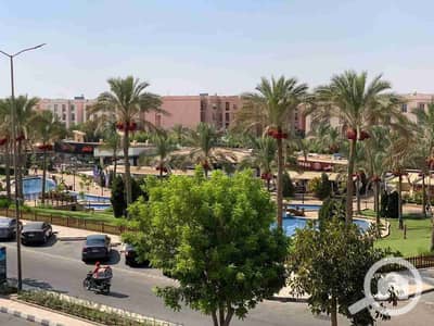 2 Bedroom Flat for Rent in New Cairo, Cairo - 1000259060. jpg