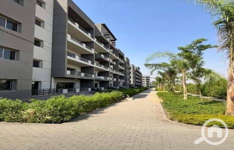 3 Bedroom Flat for Sale in Sheraton, Cairo - WhatsApp Image 2025-05-25 at 1.47. 20 PM - Copy. jpeg