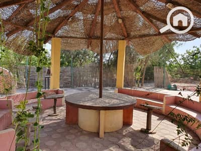 Agricultural for Sale in Sheikh Zayed, Giza - مزرعه 75 فدان للبيع ابو غالب طريق مصر اسكندريه الصحراوي