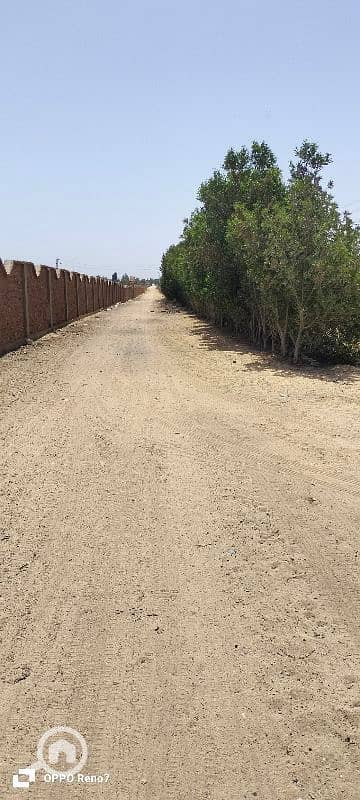 Agricultural for Sale in 6th of October, Giza - مزرعه مسجله للبيع بجوار مزارع دينا في الطريق الصحراوي