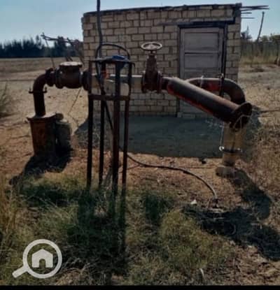 Agricultural for Sale in Wadi al-Natrun, Beheira - 77 فدان للبيع في وادي النطرون طريق مصر اسكندريه الصحراوي