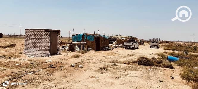 Agricultural for Sale in 6th of October, Giza - مزرعه 250 فدان للبيع في كومباوند ريجوا الطريق الصحراوي