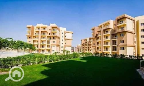 3 Bedroom Apartment for Sale in 6th of October, Giza - شقه 150 م للبيع في كومباوند اشجار سيتي اكتوبر