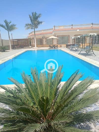 7 Bedroom Villa for Rent in 6th of October, Giza - فيلا النخيل للايجار اليومي 6 اكتوبر طريق مصر اسكندريه الصحراوي