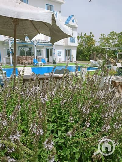 5 Bedroom Villa for Rent in 6th of October, Giza - فيلا اللوتس للايجار الريف الاوربى 6 اكتوبر