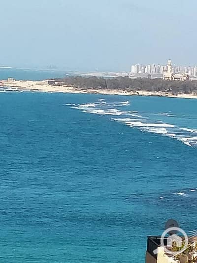 شقة فندقية 2 غرفة نوم للايجار في ميامي، الإسكندرية - مفروشة في ميامي وابن الوليد علي البحر من المالك