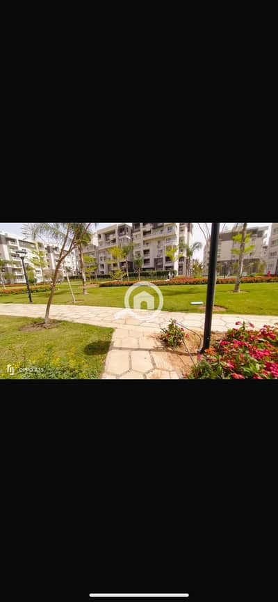 3 Bedroom Flat for Rent in Madinaty, Cairo - IMG_5626. png