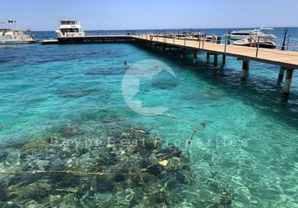 شاليه 2 غرفة نوم للبيع في الغردقة، البحر الأحمر - WhatsApp Image 2025-07-09 at 01.32. 04_7034bbc4. jpg