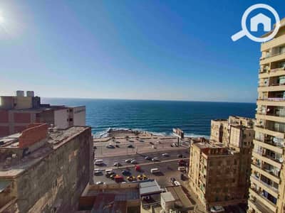 3 Bedroom Flat for Rent in Camp Caesar, Alexandria - 1000313847. jpg