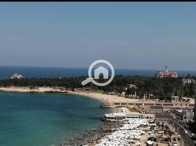 Residential Land for Sale in Miami, Alexandria - cc841754-0f5c-42ef-ad53-32b24cd528a6. jpg