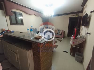 3 Bedroom Apartment for Rent in Sporting, Alexandria - 1. jpeg