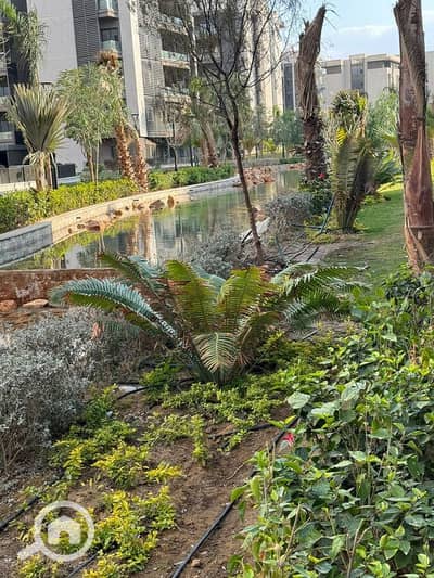 2 Bedroom Flat for Sale in Madinaty, Cairo - WhatsApp Image 2025-06-19 at 4.01. 57 PM (1). jpeg